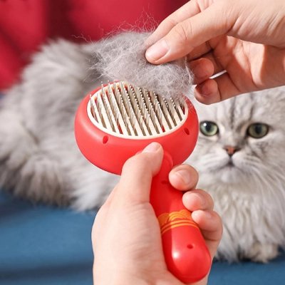 brosse pour chat style tendance rouge chat allonge