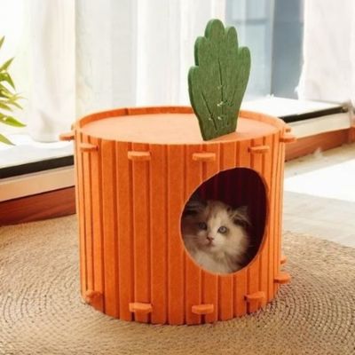 cabane-chat-carotte