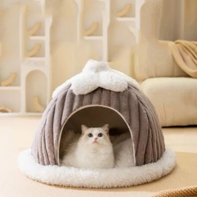 cabane chat design citrouille
