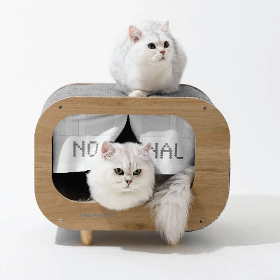cabane pour chat rectangle gris chats blanc