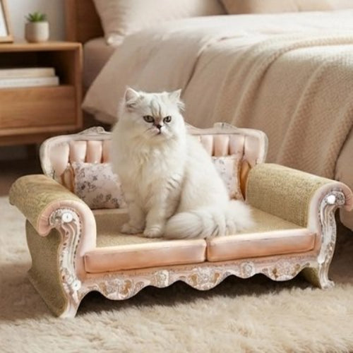 canapé pour chat design baroque luxueux chat assis chambre