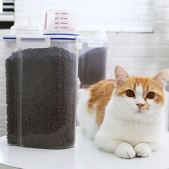 chat assis avec boite à croquettes pour chat transparente