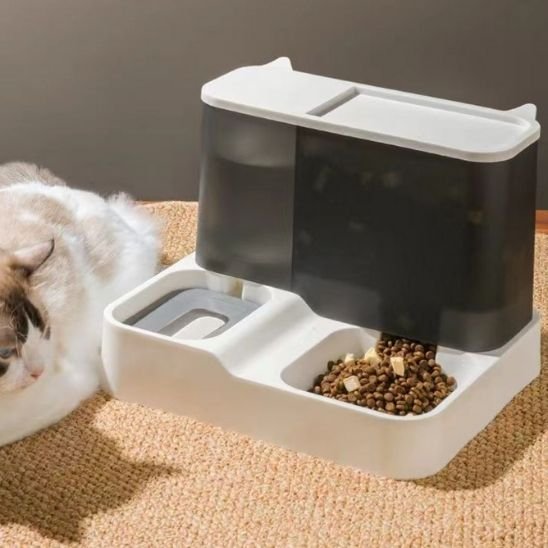 chat assis avec distributeur de croquettes pour chat design epure