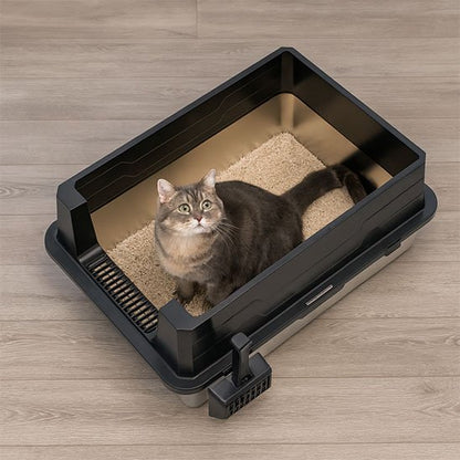 chat assis dans bac à litière chat