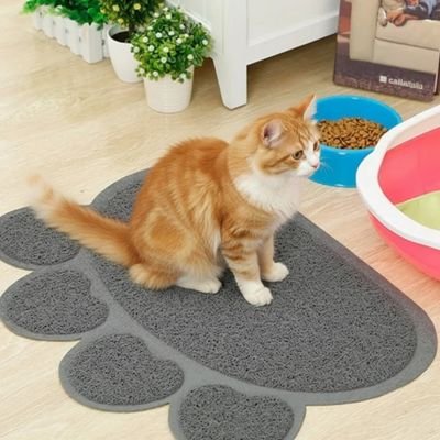chat assis tapis litière chat ludique gris