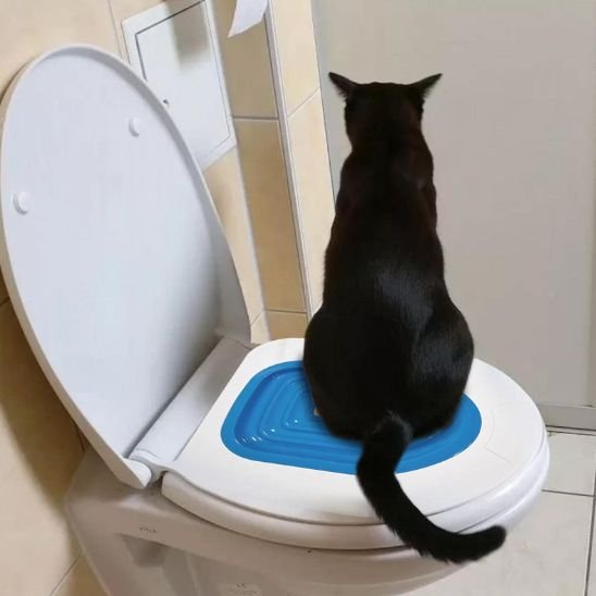 chat assis toilette chat ergonomique bleu