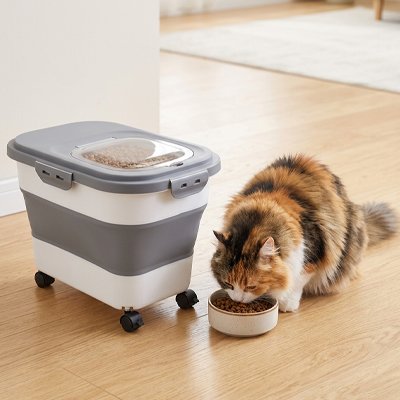 chat avec boite à croquettes chat roulettes integrees couleur gris et blanc