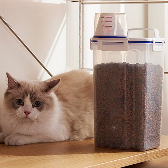 chat avec boite à croquettes pour chat transparente sur table