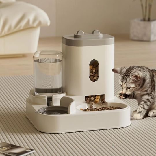 chat avec distributeur croquette chat couleur gris avec support surélevé