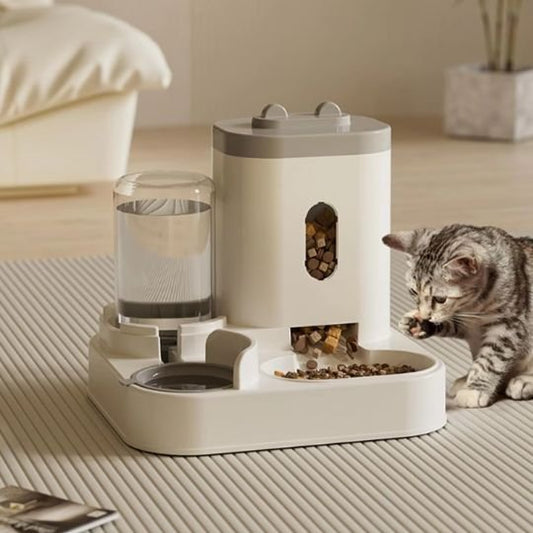 chat avec distributeur croquette chat couleur gris avec support surélevé