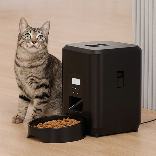 chat avec distributeur de croquettes pour chat​ cubique noir 