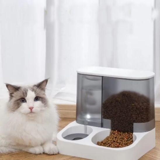 chat avec distributeur de croquettes pour chat design epure