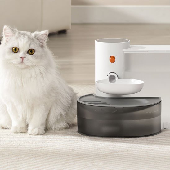 chat avec fontaine a eau chat automatique dans salon