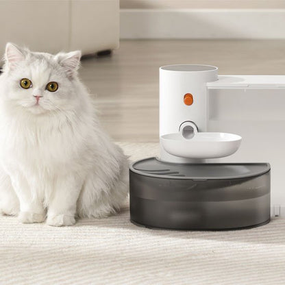 chat avec fontaine a eau chat automatique dans salon