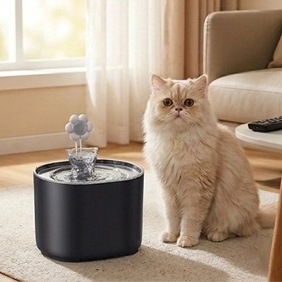 chat avec fontaine à eau pour chat dans salon