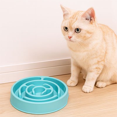 chat avec gamelle anti glouton chat amusante bleu