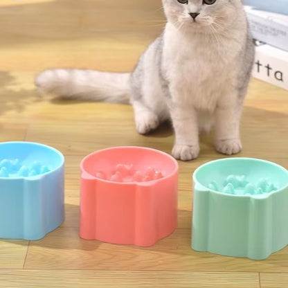 chat avec gamelle anti glouton chat coloree bleu rose menthe