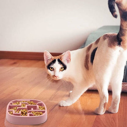 chat avec gamelle anti glouton chat ludique rose