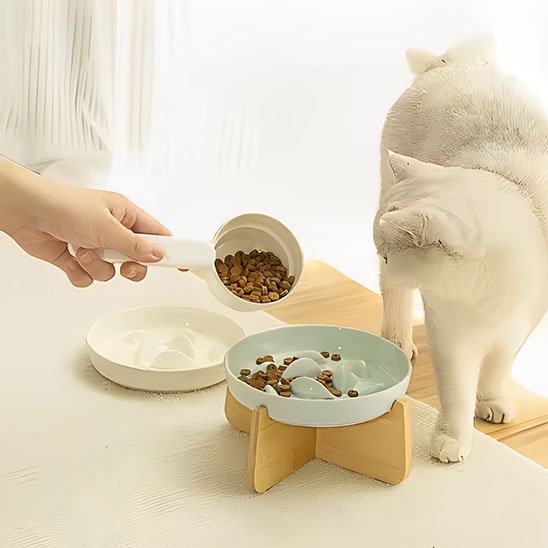 chat avec gamelle anti glouton chat surelevee bleu clair