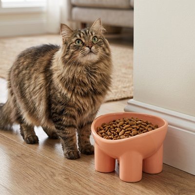 chat avec gamelle chat anti chute couleur rose