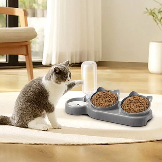 chat avec gamelle chat design felin couleur gris 3 en 1