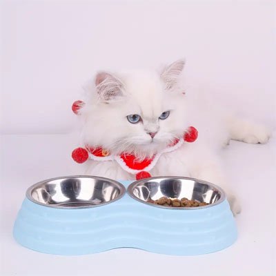 chat avec gamelle chat format compact couleur bleu