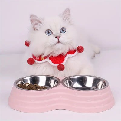 chat avec gamelle chat format compact couleur rose