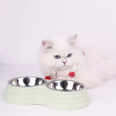 chat avec gamelle chat format compact couleur vert