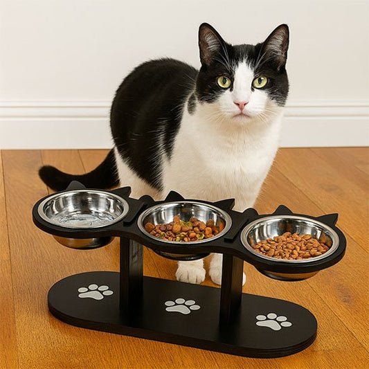 chat avec gamelle chat surelevee design felin triple bols inox