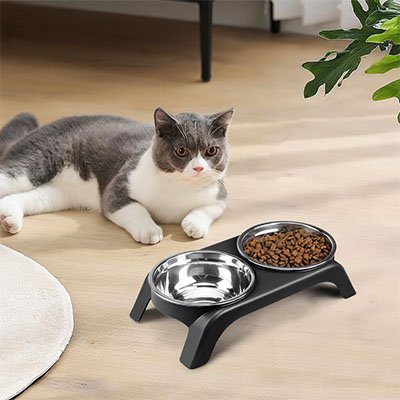 chat avec gamelle chat surelevee support noir dans salon