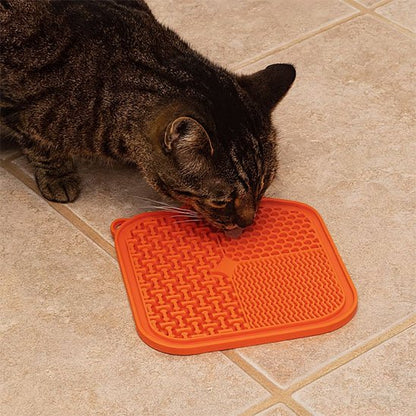 chat avec tapis de lechage format carre orange