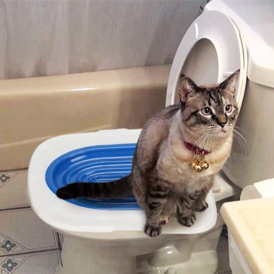 chat avec toilette chat ergonomique bleu