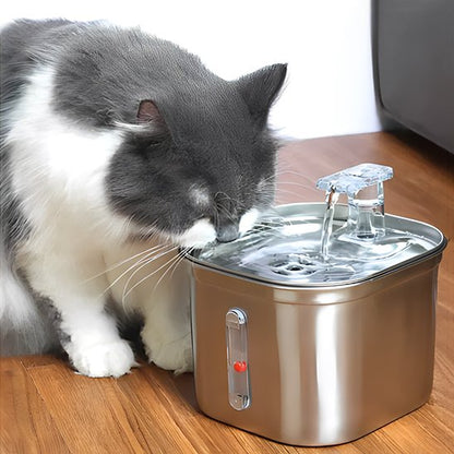 chat blanc et gris boit dans fontaine a eau chat