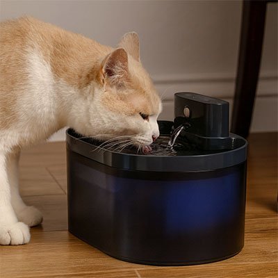 chat boit dans fontaine a eau chat oval noir 