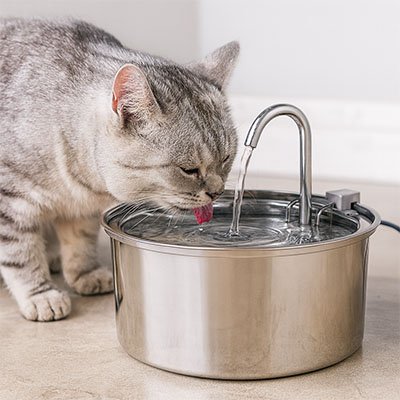 chat boit dans fontaine a eau pour chat finition brossee