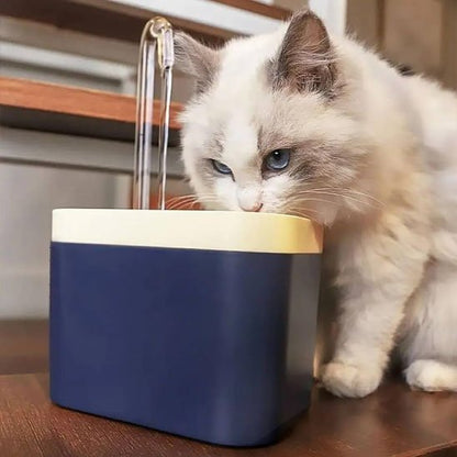 chat boit dans fontaine eau chat bleu marine