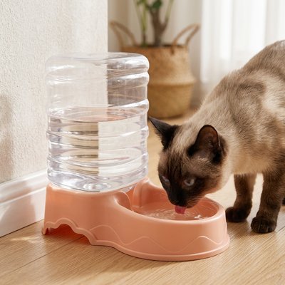 chat buvant dans distributeur eau pour chat compact rose