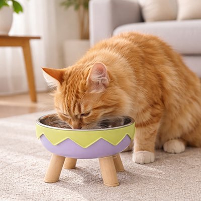 chat buvant dans gamelle chat surelevee design colore moderne couleur violet dans salon