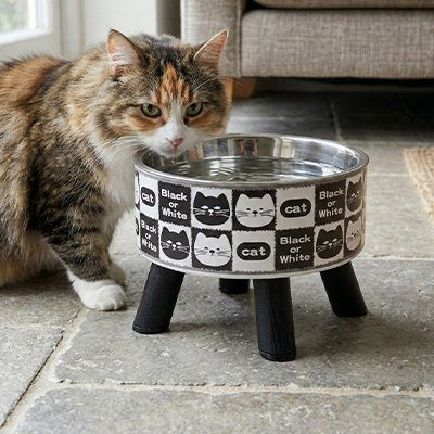 chat buvant dans gamelle chat surelevee motif felin noir et blanc dans salon