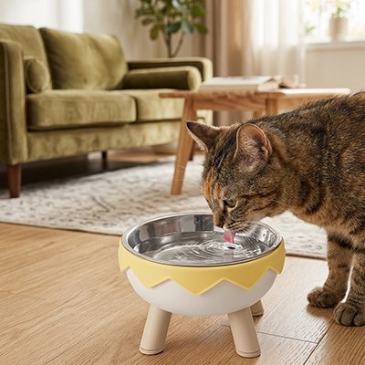 chat buvant dans gamelle surelevee chat rebord dentele couleur jaune