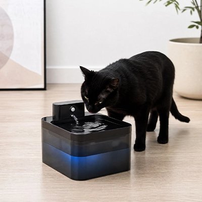chat buvant fontaine a eau chat eclairage led ambiant