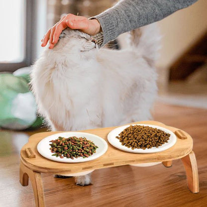 chat couleur blanc avec gamelle chat bambou double bol dans salon