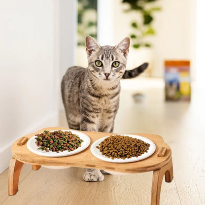 chat couleur gris avec gamelle chat bambou double bol