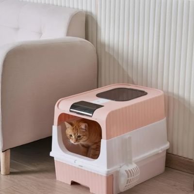 chat dans bac à litière chat colore rose