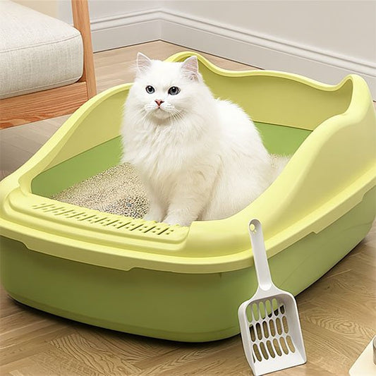 chat dans bac à litière chat design felin vert