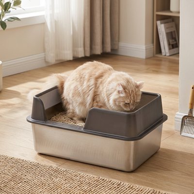 chat dans bac à litière chat noir acier inoxydable