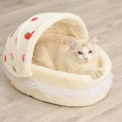 chat dans chat panier motif fraise