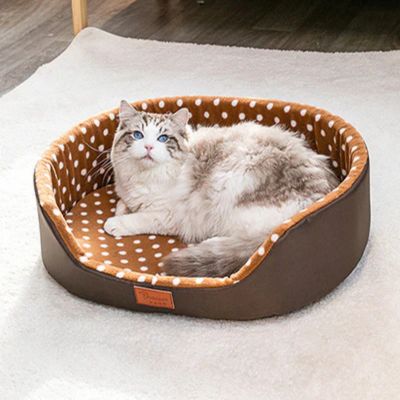 chat dans panier chat en tissu marron avec yeux bleu