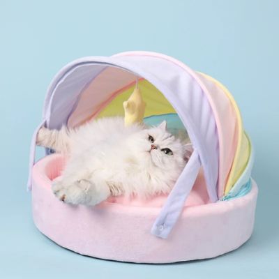 chat dans panier chatons multicolore