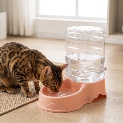 chat dans salon buvant dans distributeur eau pour chat rose